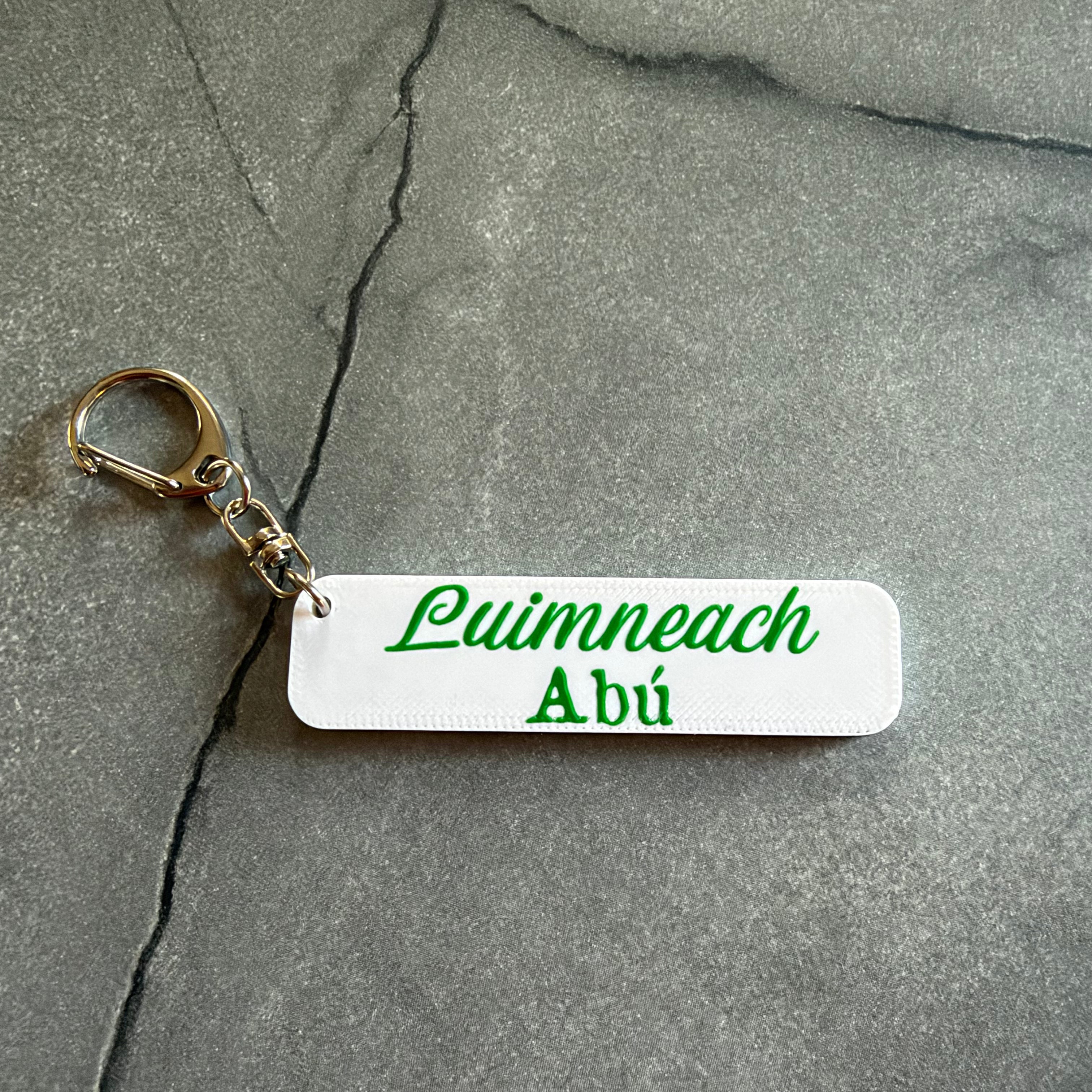 Limerick 2026 All-Ireland Hurling Champions Keychain – Number Plate Style