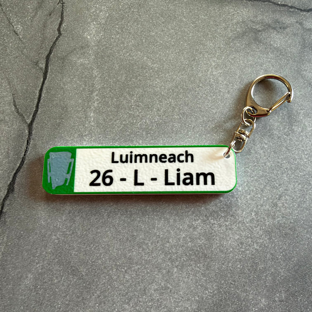 Limerick 2026 All-Ireland Hurling Champions Keychain – Number Plate Style