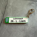 Limerick 2026 All-Ireland Hurling Champions Keychain – Number Plate Style