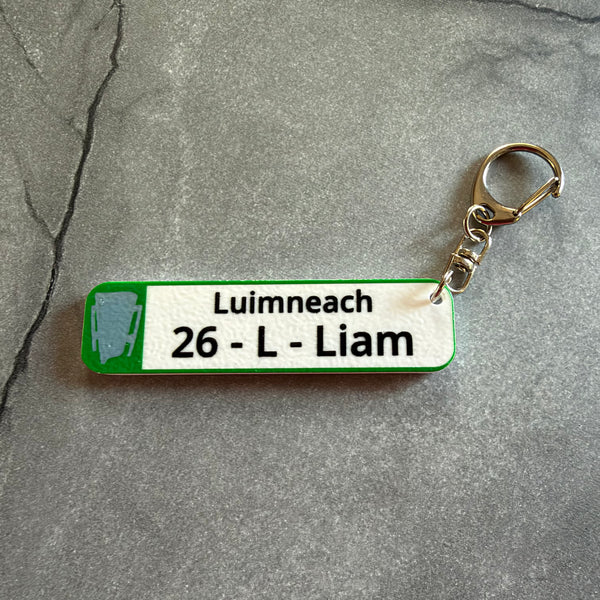 Limerick 2026 All-Ireland Hurling Champions Keychain – Number Plate Style