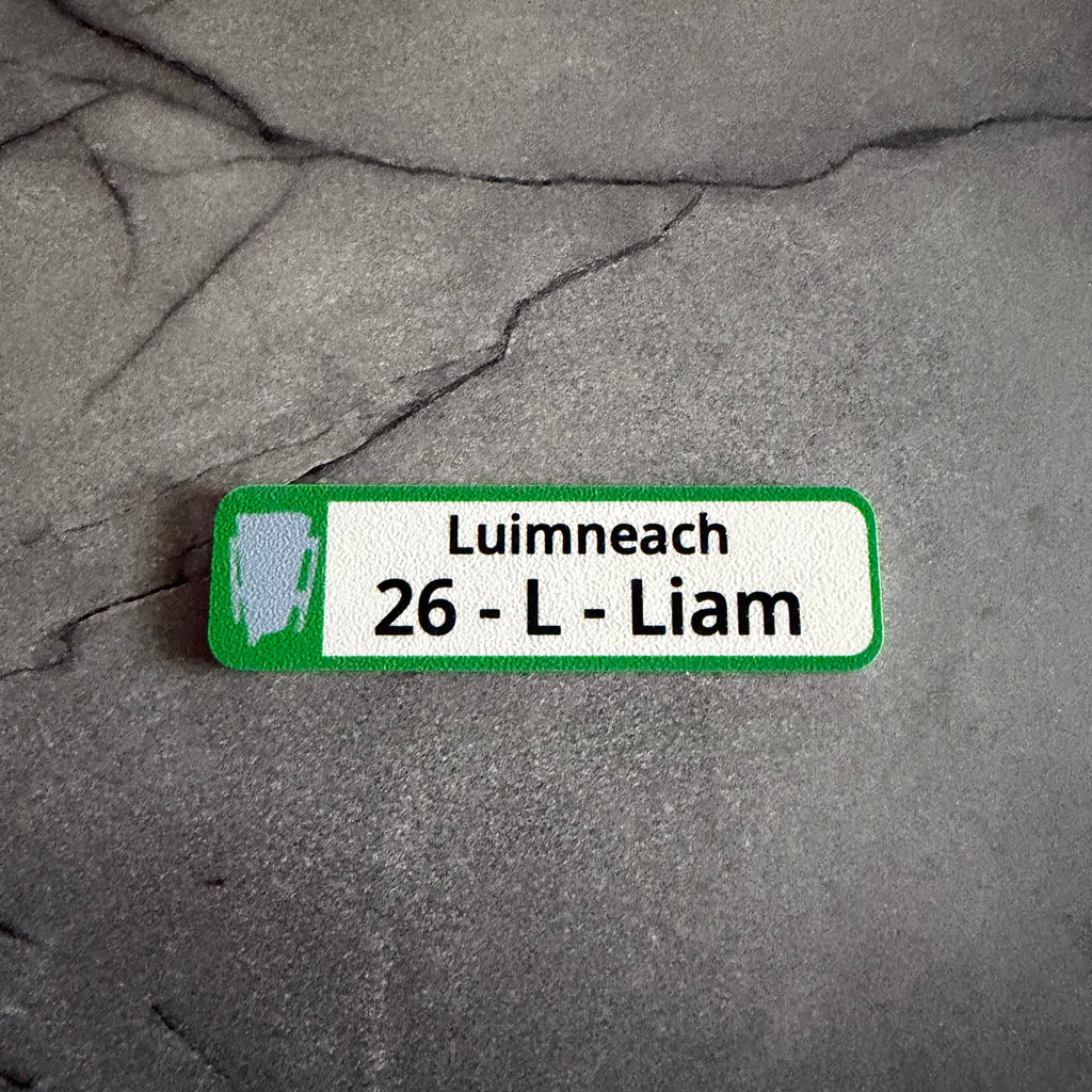 Limerick 2026 All-Ireland Hurling Champions Fridge Magnet – Number Plate Style
