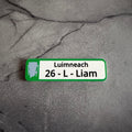 Limerick 2026 All-Ireland Hurling Champions Fridge Magnet – Number Plate Style