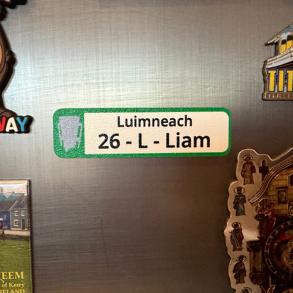 Limerick 2026 All-Ireland Hurling Champions Fridge Magnet – Number Plate Style
