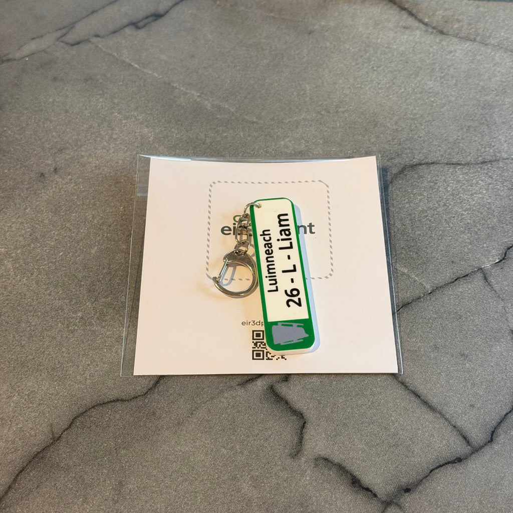 Limerick 2026 All-Ireland Hurling Champions Keychain – Number Plate Style